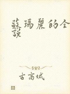 苏玛丽的全部小说