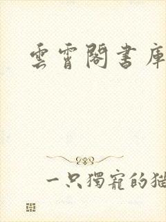 云霄阁书库封面