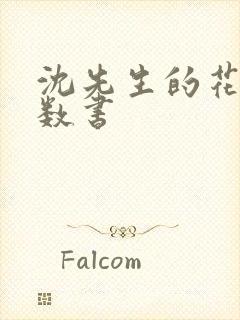 沈先生的花式调数书