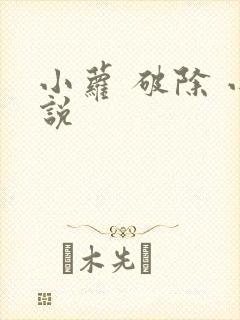 小萝 破除 小说封面