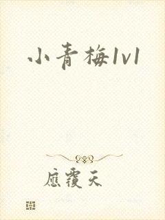 小青梅1v1