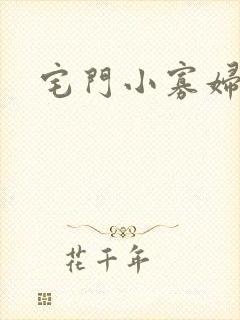 宅门小寡妇