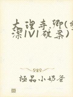大理寺.卿(双洁1V1破案)