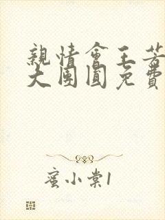 亲情会王芳高敏大团圆免费阅读