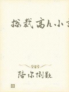 总裁高h小说