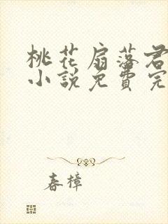 桃花扇落君不还小说免费完整版