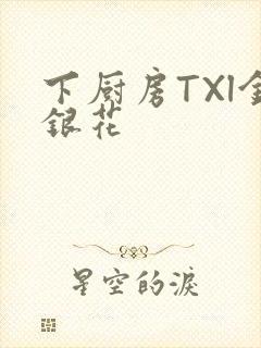 下厨房TXl金银花