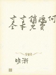 寸寸销魂何生祥全本免费