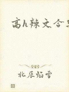高h辣文合集封面