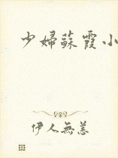 少妇苏霞小说