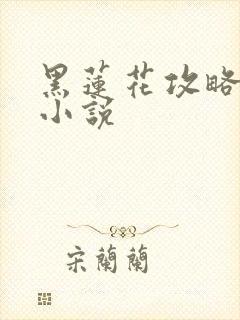 黑莲花攻略手册小说封面
