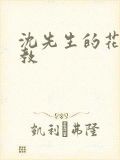 沈先生的花式管教
