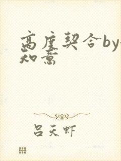 高度契合by洛知意