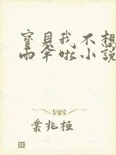 宝贝我不想带小雨伞啦小说
