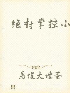 绝对掌控小说
