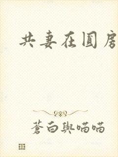 共妻在圆房3p