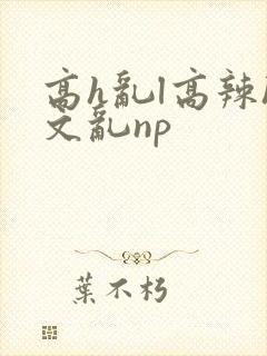高h乱l高辣h文乱np