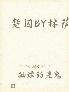 楚囚BY林萨