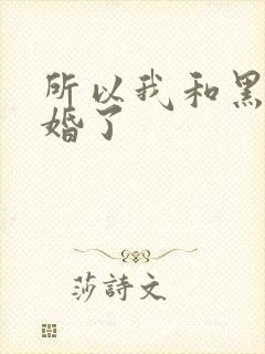 所以我和黑粉结婚了封面