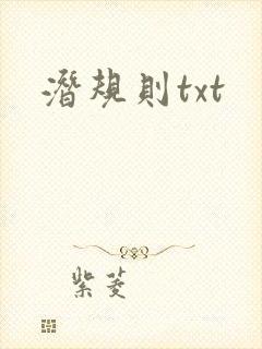潜规则txt封面