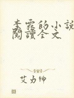李霖的小说免费阅读全文