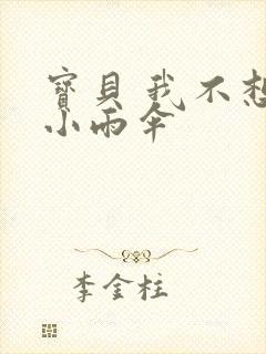 宝贝 我不想带小雨伞封面