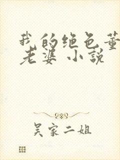 我的绝色董事长老婆 小说封面