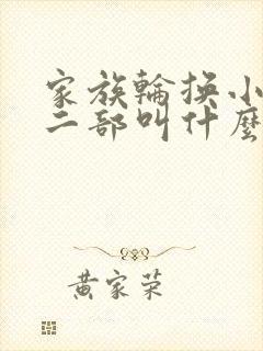 家族轮换小说第二部叫什么名字封面
