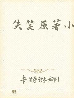 失笑原著小说封面