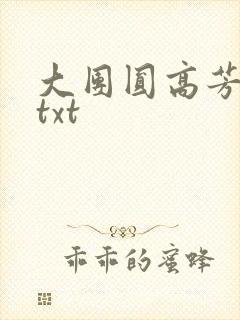 大团圆高芳小说txt