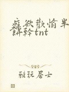 瘾欲欢愉半块小饼干tnt封面