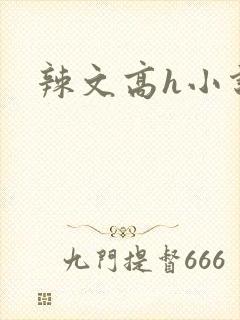 辣文高h小说