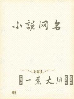 小说网名