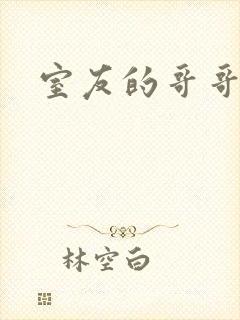 室友的哥哥
