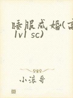 睡服成婚(高h 1v1 sc)