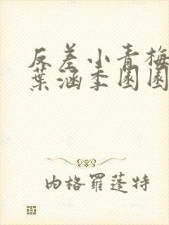 反差小青梅不经叶涵季园园封面