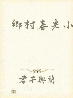 乡村春光小说