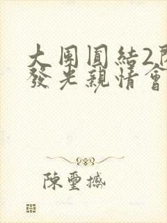 大团圆结2闪闪发光亲情会
