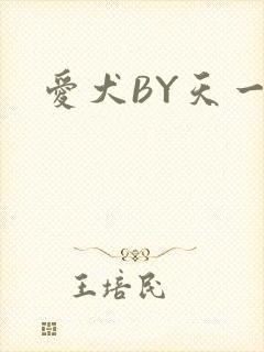 爱犬BY天一封面