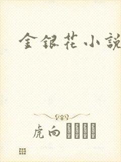 金银花小说乐可