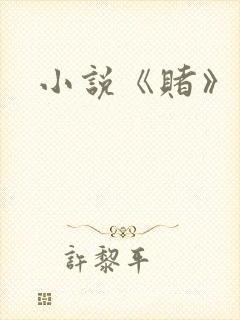 小说《赌》