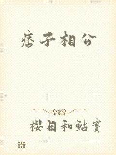 痞子相公