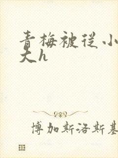 青梅被从小摸到大h