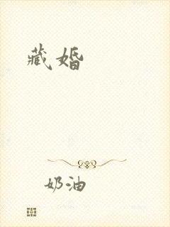 藏婚封面