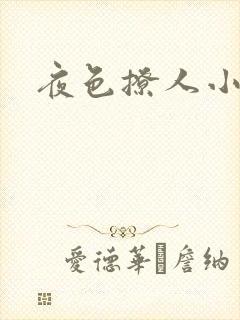 夜色撩人小说