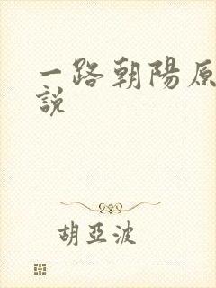 一路朝阳原著小说