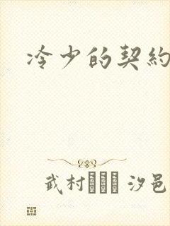冷少的契约囚奴