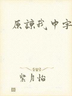 原谅我中字封面