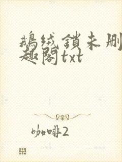 鹅绒锁未删除笔趣阁txt