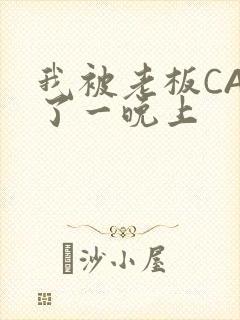 我被老板CAO了一晚上封面